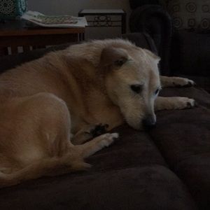 Meet your Posher, Billinda